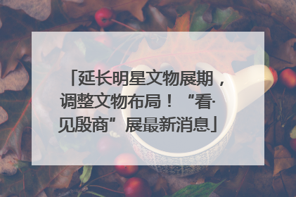 延长明星文物展期，调整文物布局！“看·见殷商”展最新消息