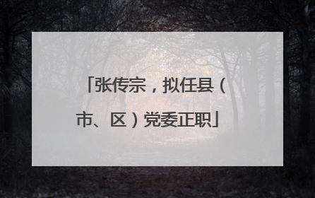 张传宗，拟任县（市、区）党委正职