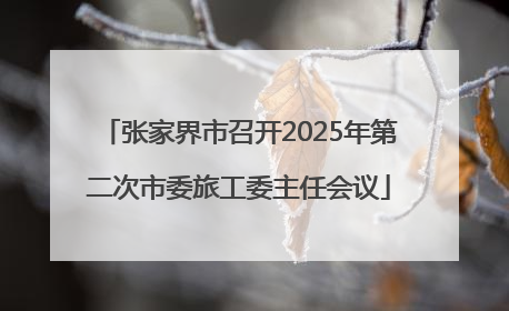 张家界市召开2025年第二次市委旅工委主任会议