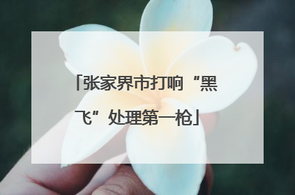 张家界市打响“黑飞”处理第一枪