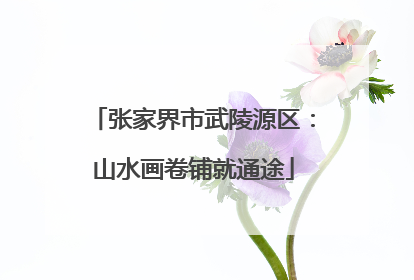 张家界市武陵源区：山水画卷铺就通途