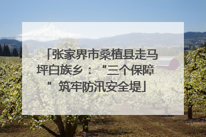 张家界市桑植县走马坪白族乡：“三个保障”筑牢防汛安全堤