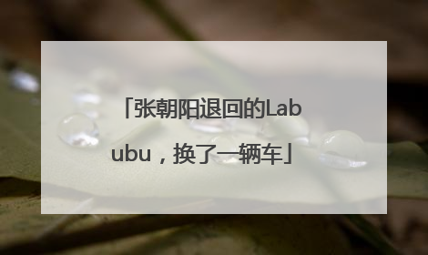 张朝阳退回的Labubu，换了一辆车