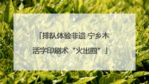 排队体验非遗 宁乡木活字印刷术“火出圈”