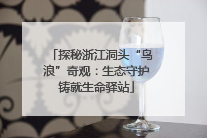 探秘浙江洞头“鸟浪”奇观：生态守护铸就生命驿站
