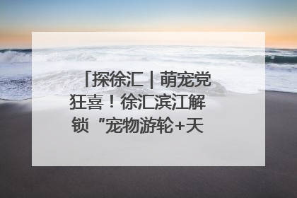 探徐汇｜萌宠党狂喜！徐汇滨江解锁“宠物游轮+天台乐园”双玩法