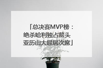 总决赛MVP榜：绝杀哈利独占鳌头 亚历山大屈居次席