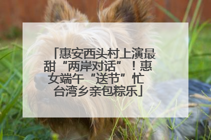 惠安西头村上演最甜“两岸对话”！惠女端午“送节”忙 台湾乡亲包粽乐