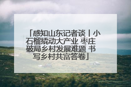 感知山东记者谈丨小石榴撬动大产业 枣庄破局乡村发展难题 书写乡村共富答卷