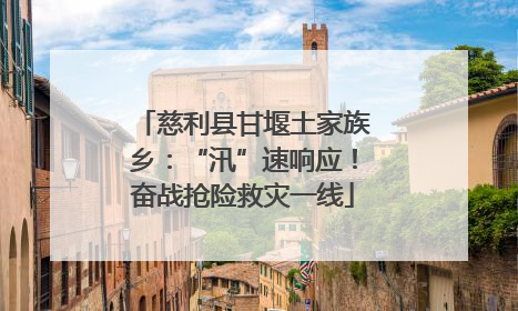 慈利县甘堰土家族乡：“汛”速响应！奋战抢险救灾一线