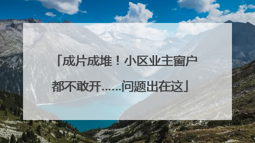 成片成堆！小区业主窗户都不敢开……问题出在这
