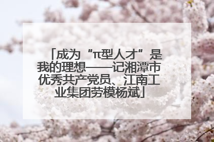 成为“π型人才”是我的理想——记湘潭市优秀共产党员、江南工业集团劳模杨斌