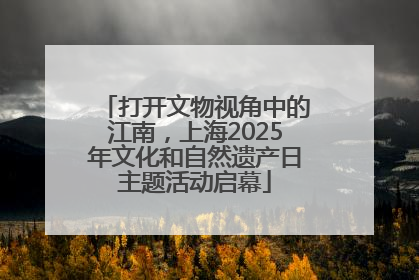 打开文物视角中的江南，上海2025年文化和自然遗产日主题活动启幕