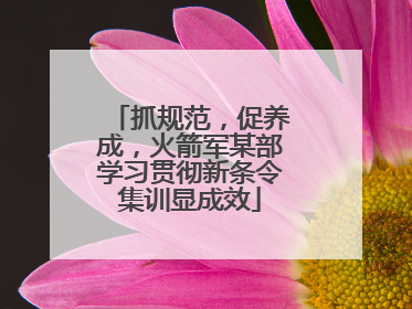 抓规范，促养成，火箭军某部学习贯彻新条令集训显成效