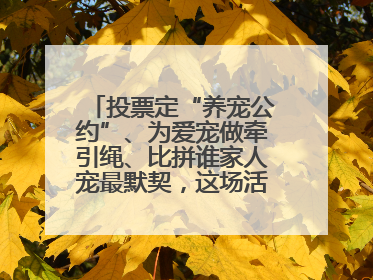 投票定“养宠公约”、为爱宠做牵引绳、比拼谁家人宠最默契，这场活动有趣更有意义
