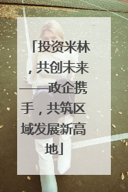 投资米林，共创未来——政企携手，共筑区域发展新高地