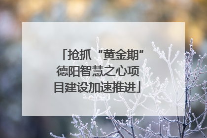 抢抓“黄金期” 德阳智慧之心项目建设加速推进