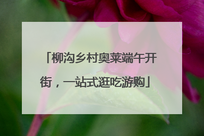柳沟乡村奥莱端午开街，一站式逛吃游购