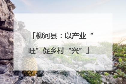 柳河县：以产业“旺”促乡村“兴”