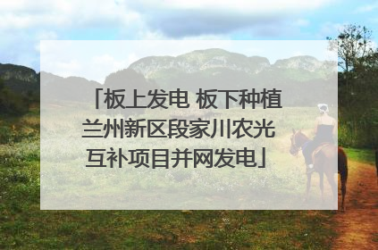 板上发电 板下种植 兰州新区段家川农光互补项目并网发电