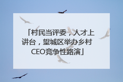 村民当评委，人才上讲台，望城区举办乡村CEO竞争性路演
