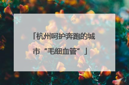 杭州呵护奔跑的城市“毛细血管”