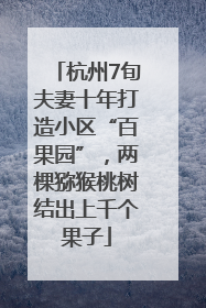 杭州7旬夫妻十年打造小区“百果园”，两棵猕猴桃树结出上千个果子