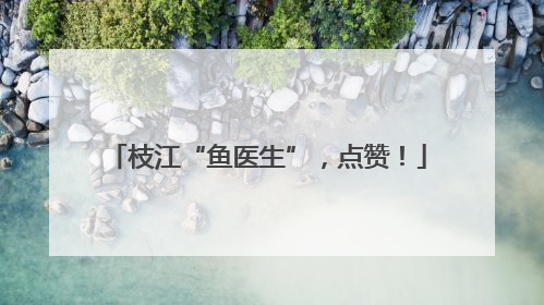 枝江“鱼医生”，点赞！