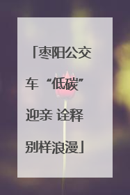 枣阳公交车“低碳”迎亲 诠释别样浪漫
