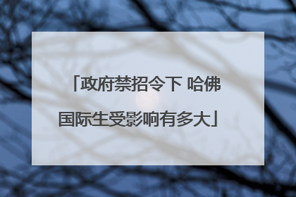 政府禁招令下 哈佛国际生受影响有多大