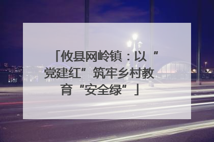 攸县网岭镇：以“党建红”筑牢乡村教育“安全绿”