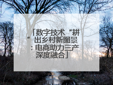 数字技术“耕”出乡村新图景：电商助力三产深度融合