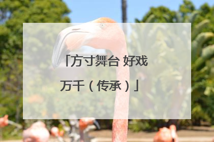 方寸舞台 好戏万千（传承）