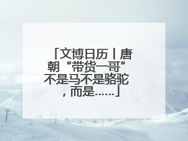 文博日历丨唐朝“带货一哥”不是马不是骆驼，而是……
