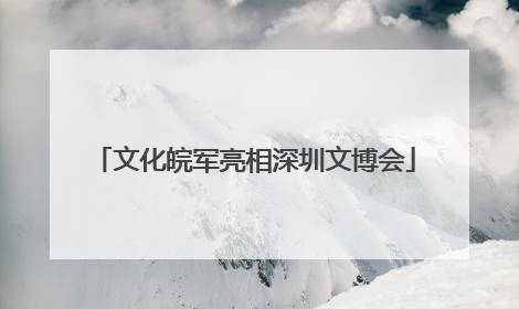 文化皖军亮相深圳文博会