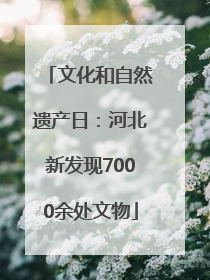 文化和自然遗产日：河北新发现7000余处文物