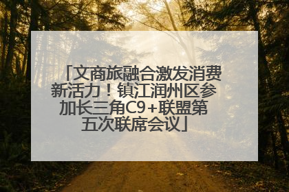 文商旅融合激发消费新活力！镇江润州区参加长三角C9+联盟第五次联席会议