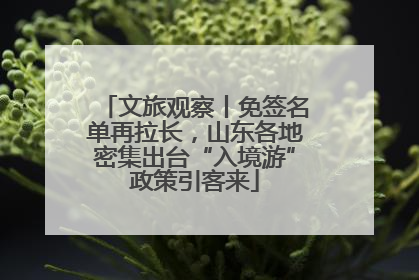 文旅观察丨免签名单再拉长，山东各地密集出台“入境游”政策引客来