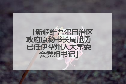 新疆维吾尔自治区政府原秘书长周旭勇已任伊犁州人大常委会党组书记