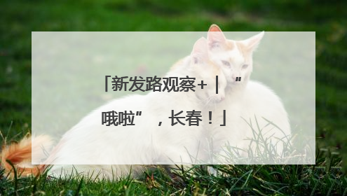 新发路观察+｜“哦啦”，长春！