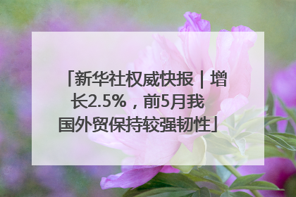 新华社权威快报｜增长2.5%，前5月我国外贸保持较强韧性