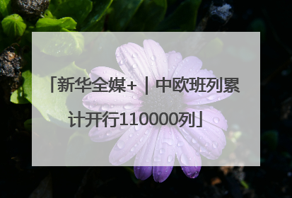 新华全媒+｜中欧班列累计开行110000列