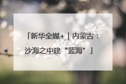 新华全媒+｜内蒙古：沙海之中建“蓝海”