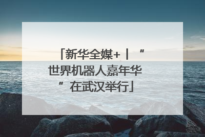 新华全媒+丨“世界机器人嘉年华”在武汉举行