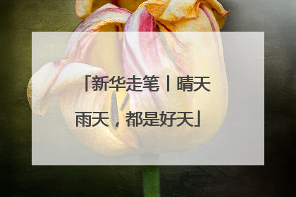 新华走笔丨晴天雨天，都是好天