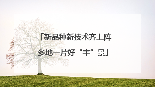 新品种新技术齐上阵 多地一片好“丰”景