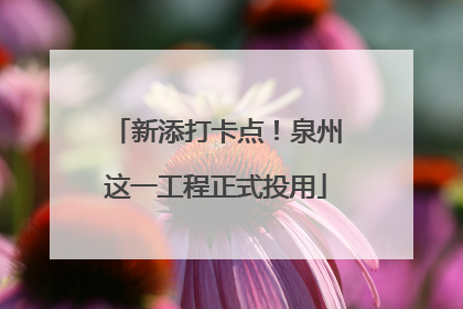 新添打卡点！泉州这一工程正式投用