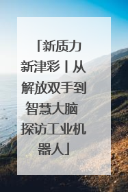 新质力 新津彩丨从解放双手到智慧大脑 探访工业机器人