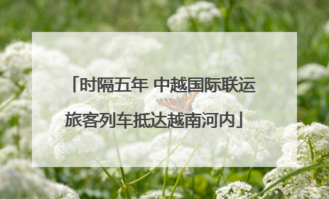 时隔五年 中越国际联运旅客列车抵达越南河内
