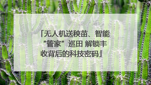 无人机送秧苗、智能“管家”巡田 解锁丰收背后的科技密码